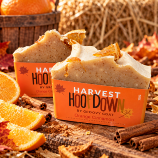Seasonal Goat Milk Soap - Orange Cinnamon